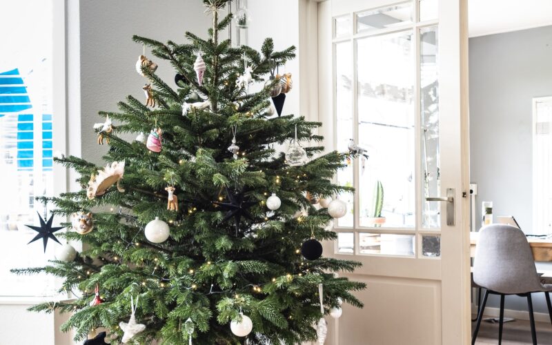 Το μυστικό για να κρατήσεις φρέσκο για περισσότερο καιρό το φυσικό χριστουγεννιάτικο δέντρο σου