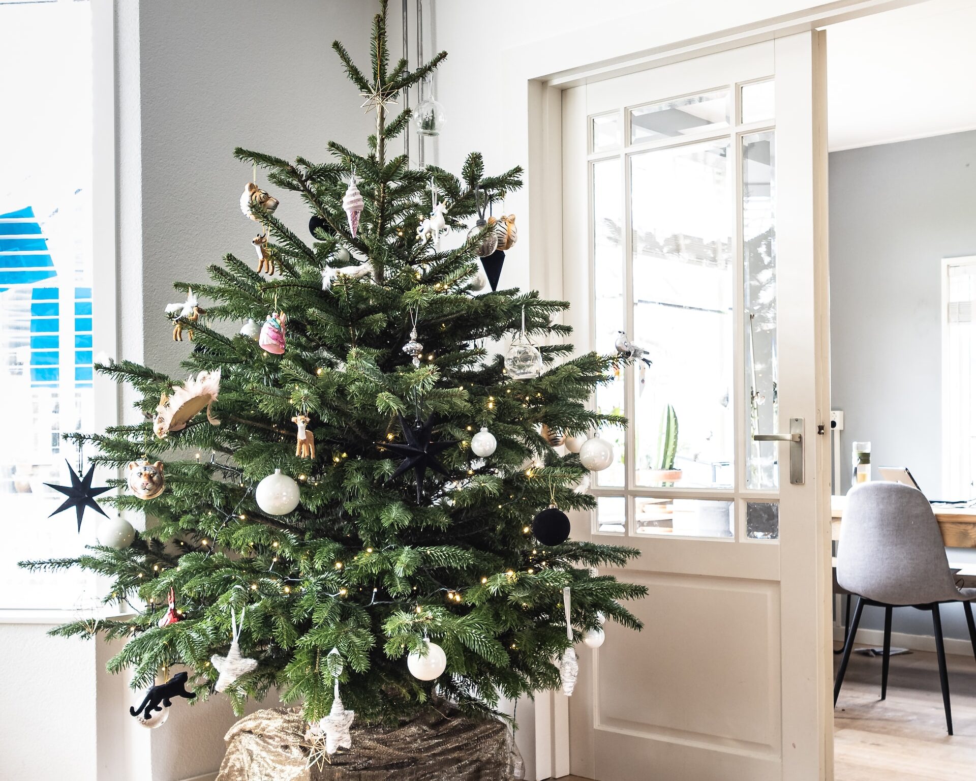 Το μυστικό για να κρατήσεις φρέσκο για περισσότερο καιρό το φυσικό χριστουγεννιάτικο δέντρο σου