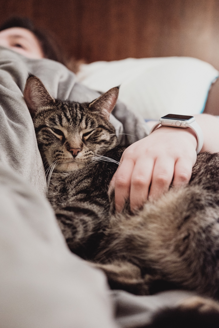 Αν η γάτα σου κοιμάται στα πόδια σου μην ανησυχείς- 10 λόγοι αποδεικνύουν γιατί το κάνει