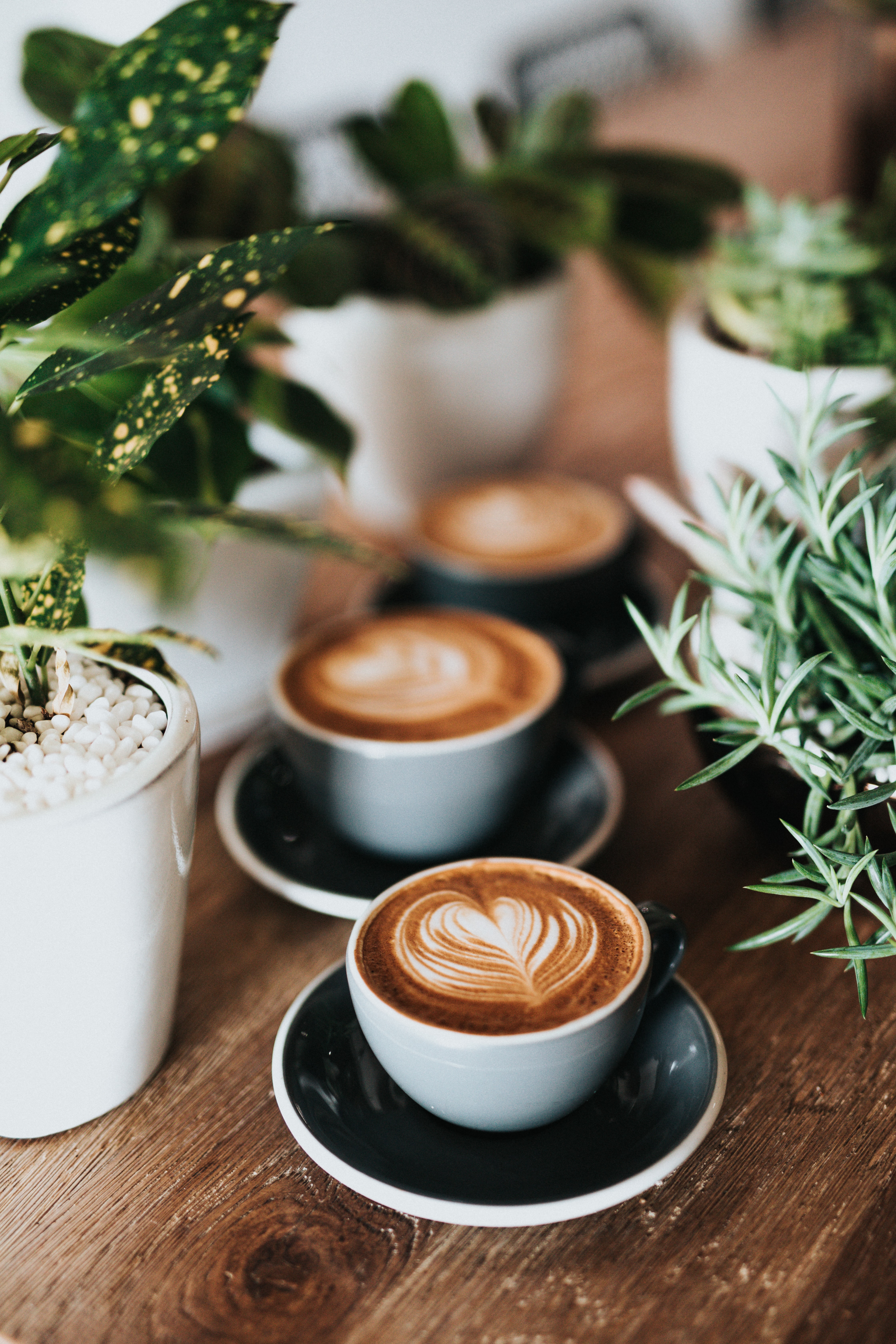 Καφές από μανιτάρια; Κι όμως είναι η λύση για να ελαττώσεις την καφεΐνη