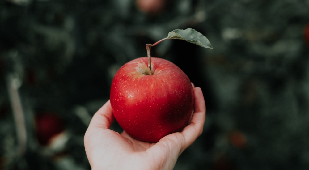 Ένα μήλο την ημέρα τον γιατρό τον κάνει πέρα- Πόσα οφέλη προσφέρει στην υγεία