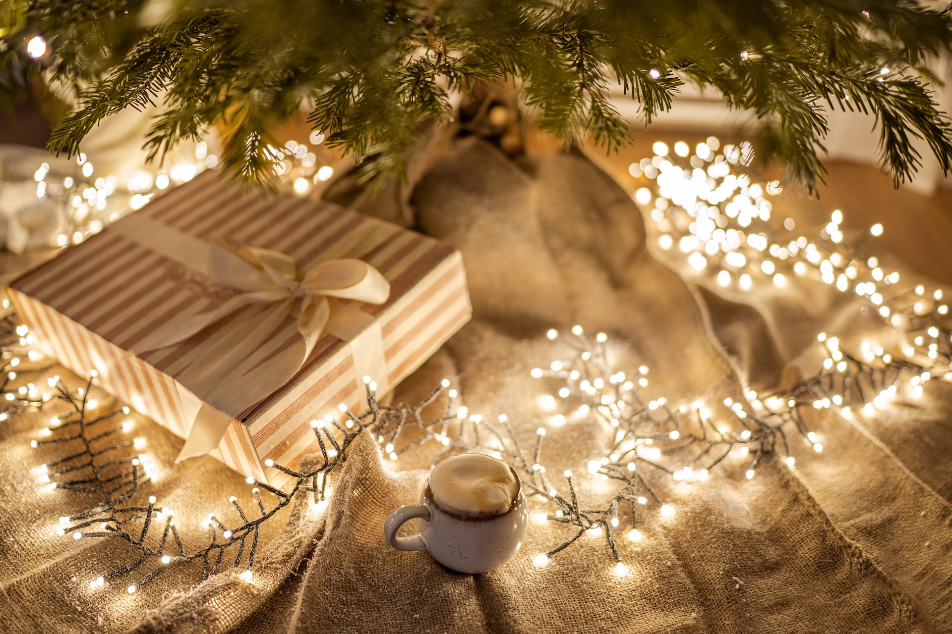 Μην πετάς τα παλιά χριστουγεννιάτικα λαμπάκια- 5 οικολογικοί τρόποι για να τα αξιοποιήσεις