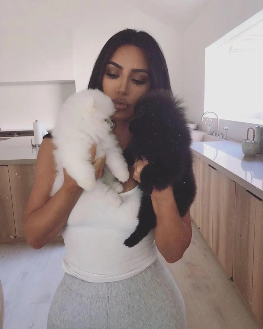 Το video της Kim Kardashian προκάλεσε αντιδράσεις- Την κατηγορούν ότι τα σκυλιά της ζουν σε γκαράζ