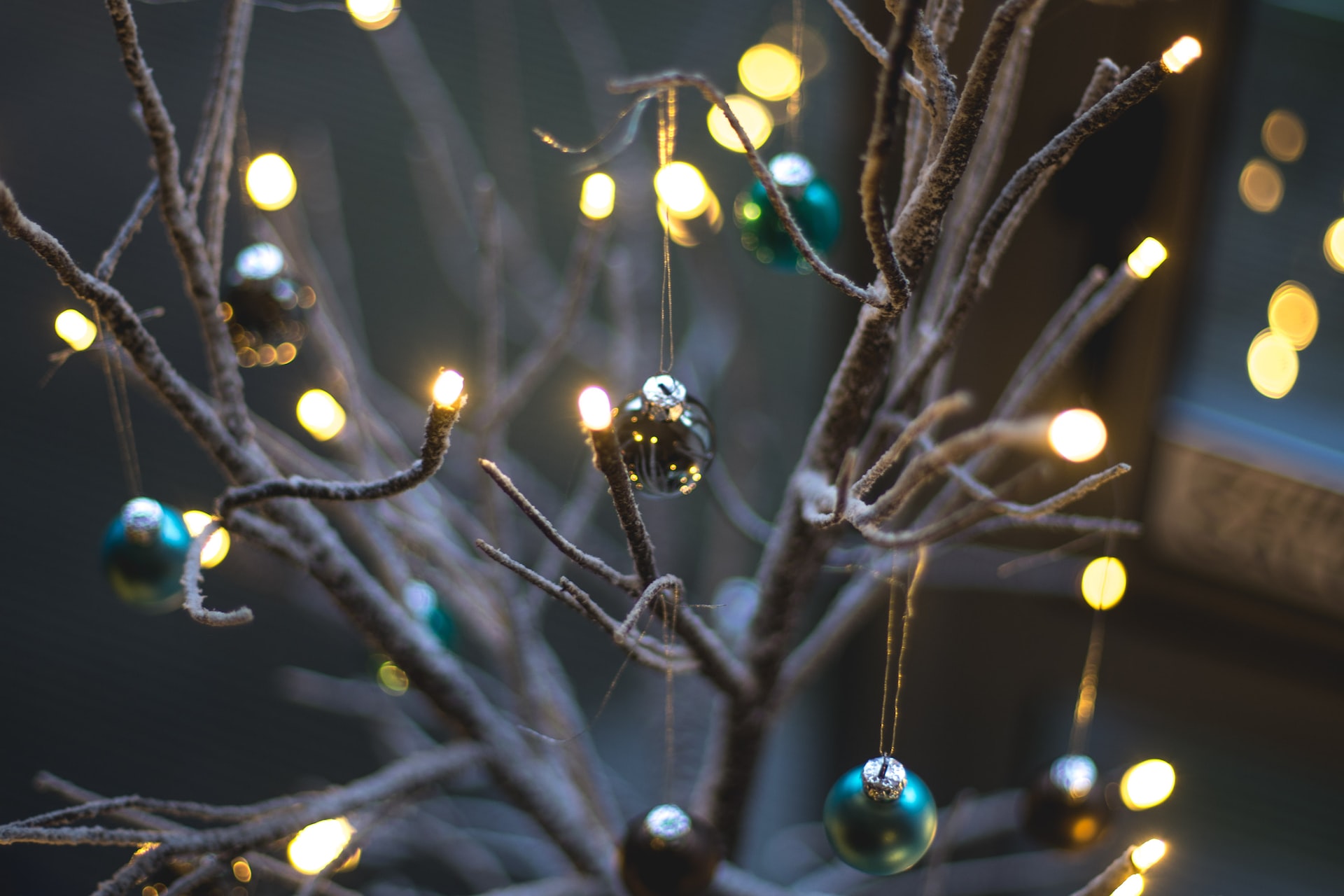 Μην πετάς τα παλιά χριστουγεννιάτικα λαμπάκια- 5 οικολογικοί τρόποι για να τα αξιοποιήσεις