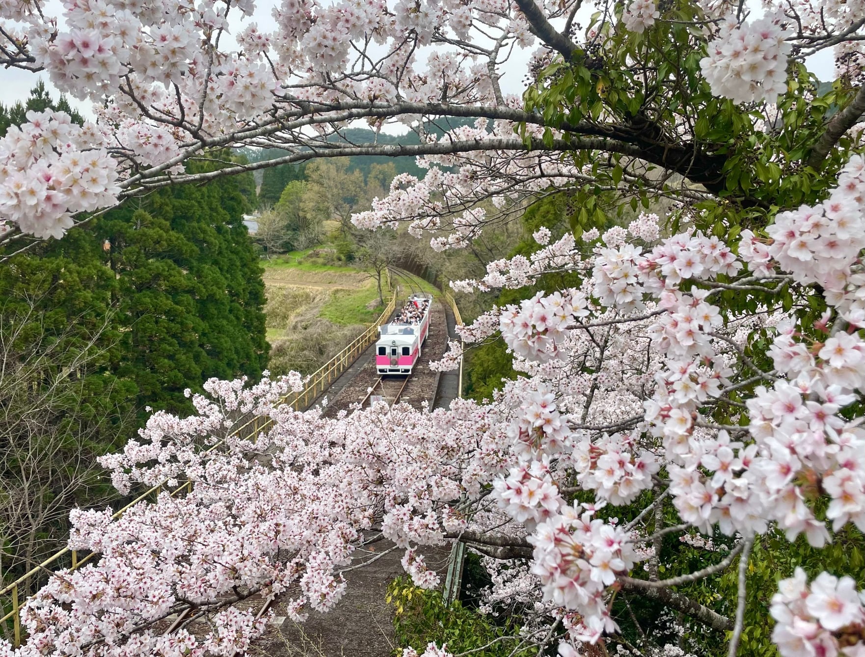Το ιαπωνικό τρένο που δεν κινείται με συμβατικά καύσιμα αλλά με ζωμό ramen