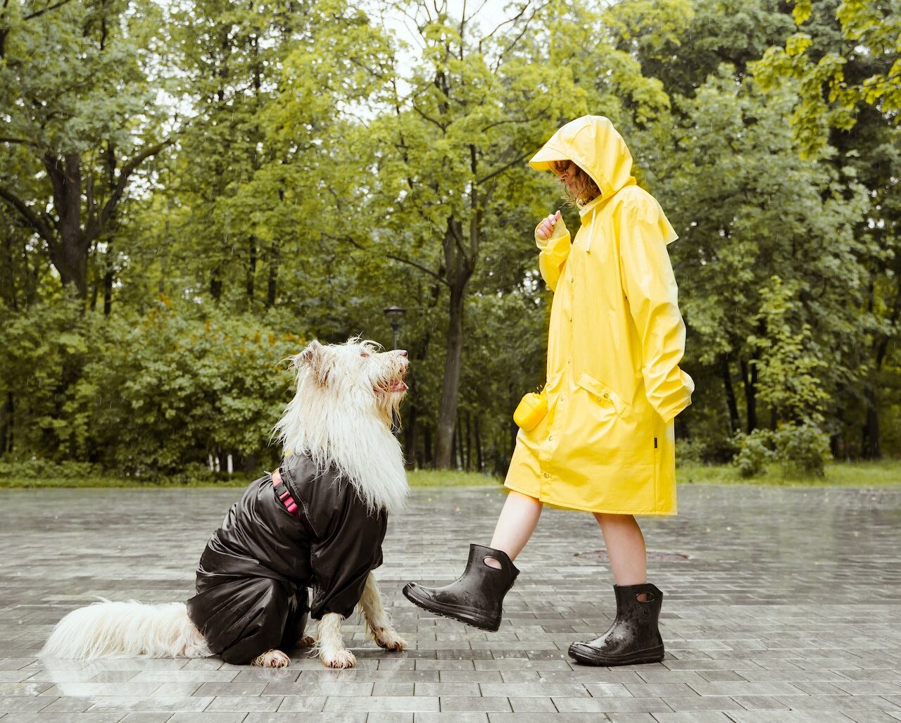 5 hacks για να επιβιώσεις από την καταιγίδα και να παραμείνεις στεγνή ακόμη και στον βρεγμένο δρόμo