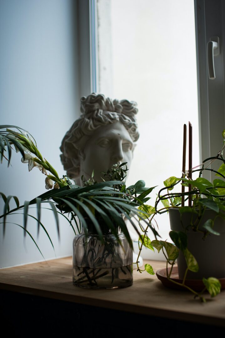 φυτό με άγαλμα