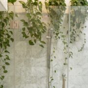 φυτά στο μπάνιο