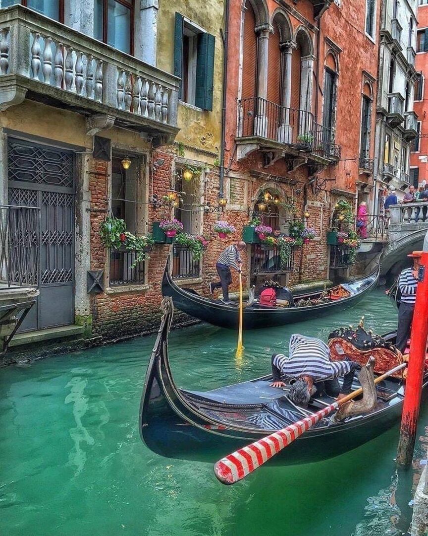 instagram - venicetravelers