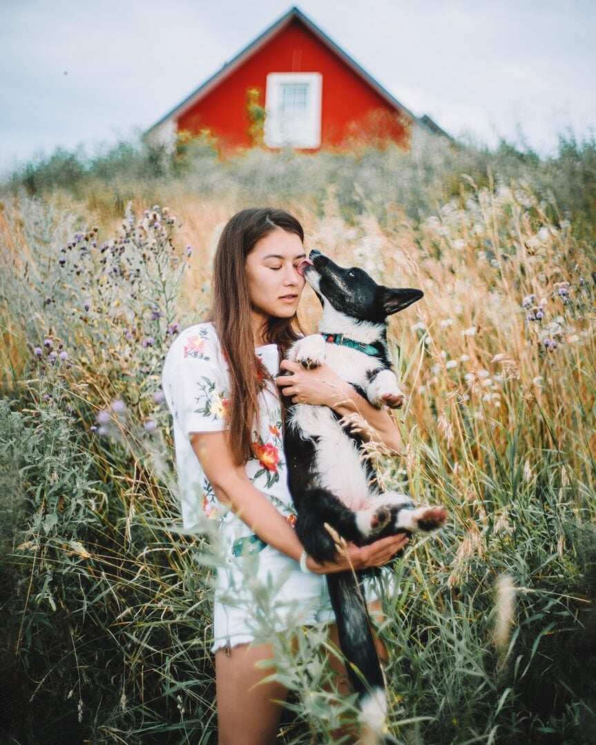 κορίτσι στον αγρό με σκύλο