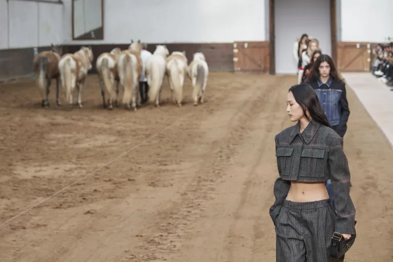 Stella Mccartney F23