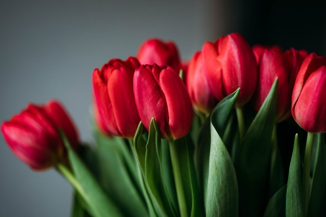 Τα 9 πιο δημοφιλή πασχαλινά λουλούδια που μπορούν να ομορφύνουν το σπίτι σου