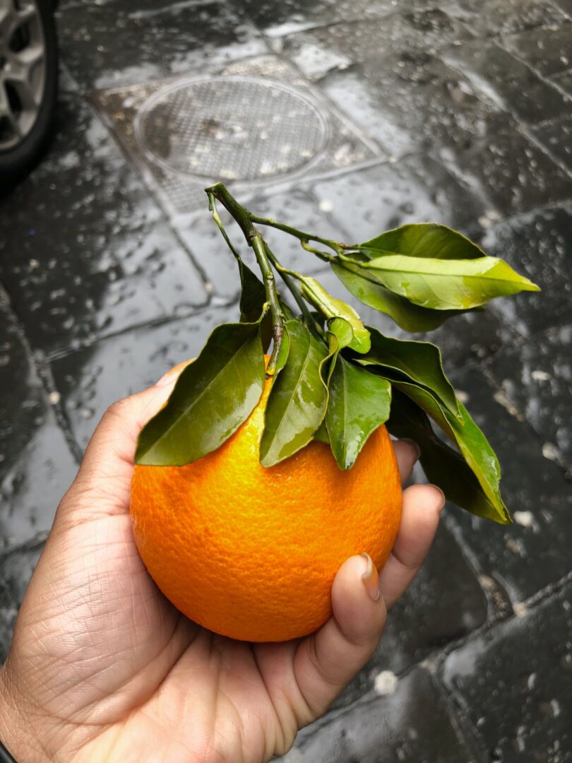 μια γυναικα κραταει ενα πορτοκαλι