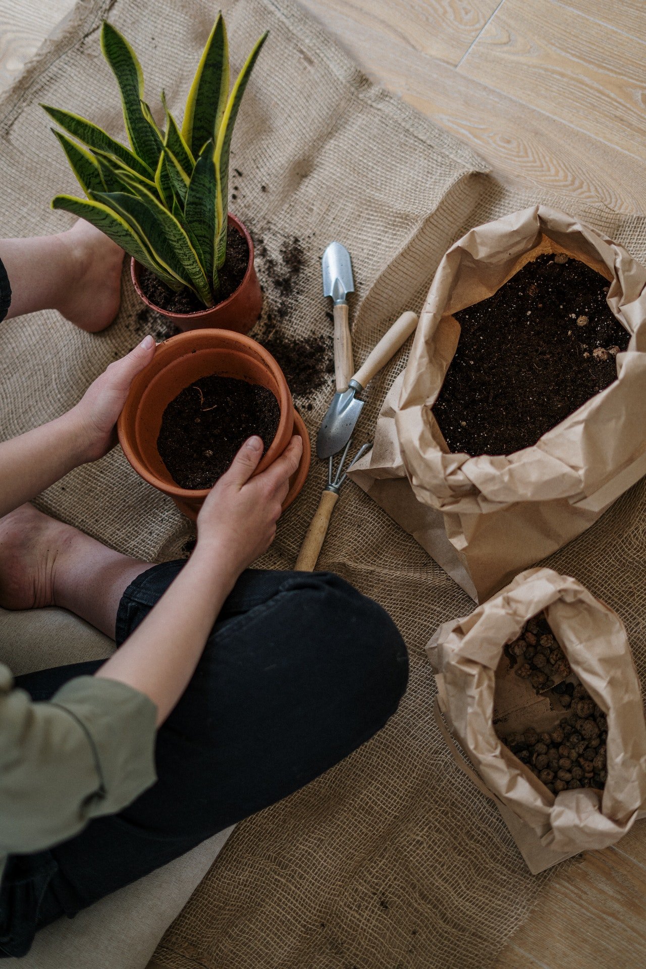 7 εύκολοι τρόποι για να φτιάξεις σπιτικό λίπασμα για τα φυτά σου