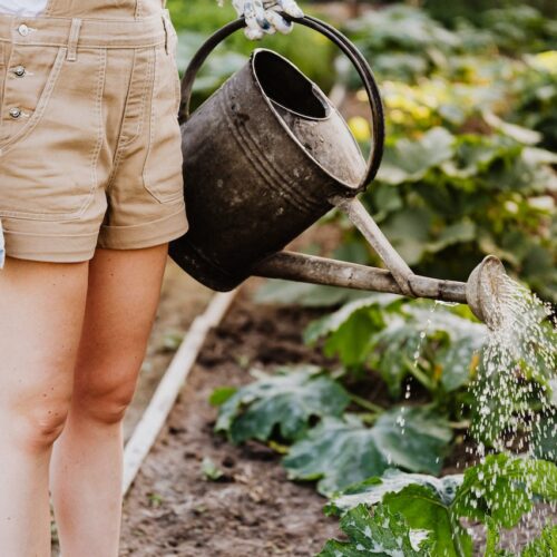 8 λάθη που κάνεις όταν ποτίζεις το γκαζόν στον κήπο σου
