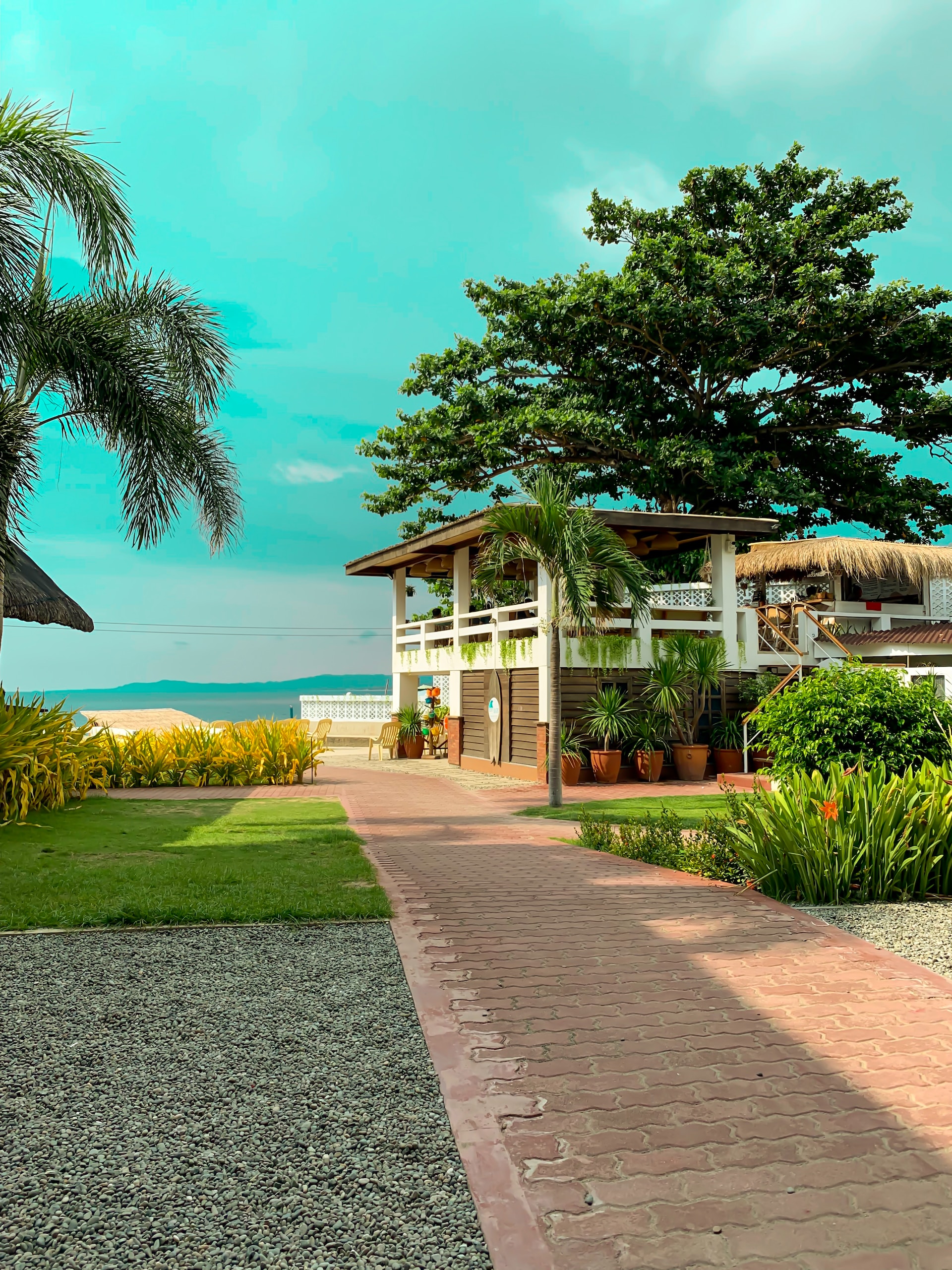 5 λάθη που προσελκύουν τα κουνούπια στην αυλή σου