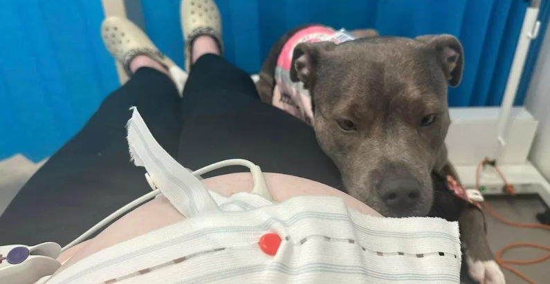 Το νοσοκομείο του Milton Keynes επιτρέπει τον πρώτο σκύλο στον θάλαμο τοκετού