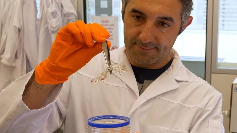 Ένα διαφανές ποντίκι φέρνει την επανάσταση για τη δημιουργια φαρμάκων για τον καρκίνο