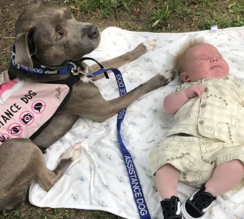 Το νοσοκομείο του Milton Keynes επιτρέπει τον πρώτο σκύλο στον θάλαμο τοκετού