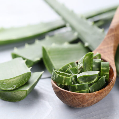 Aloe vera: Το μαγικό συστατικό που βάζει τέλος στην αναιμία και την κολίτιδα