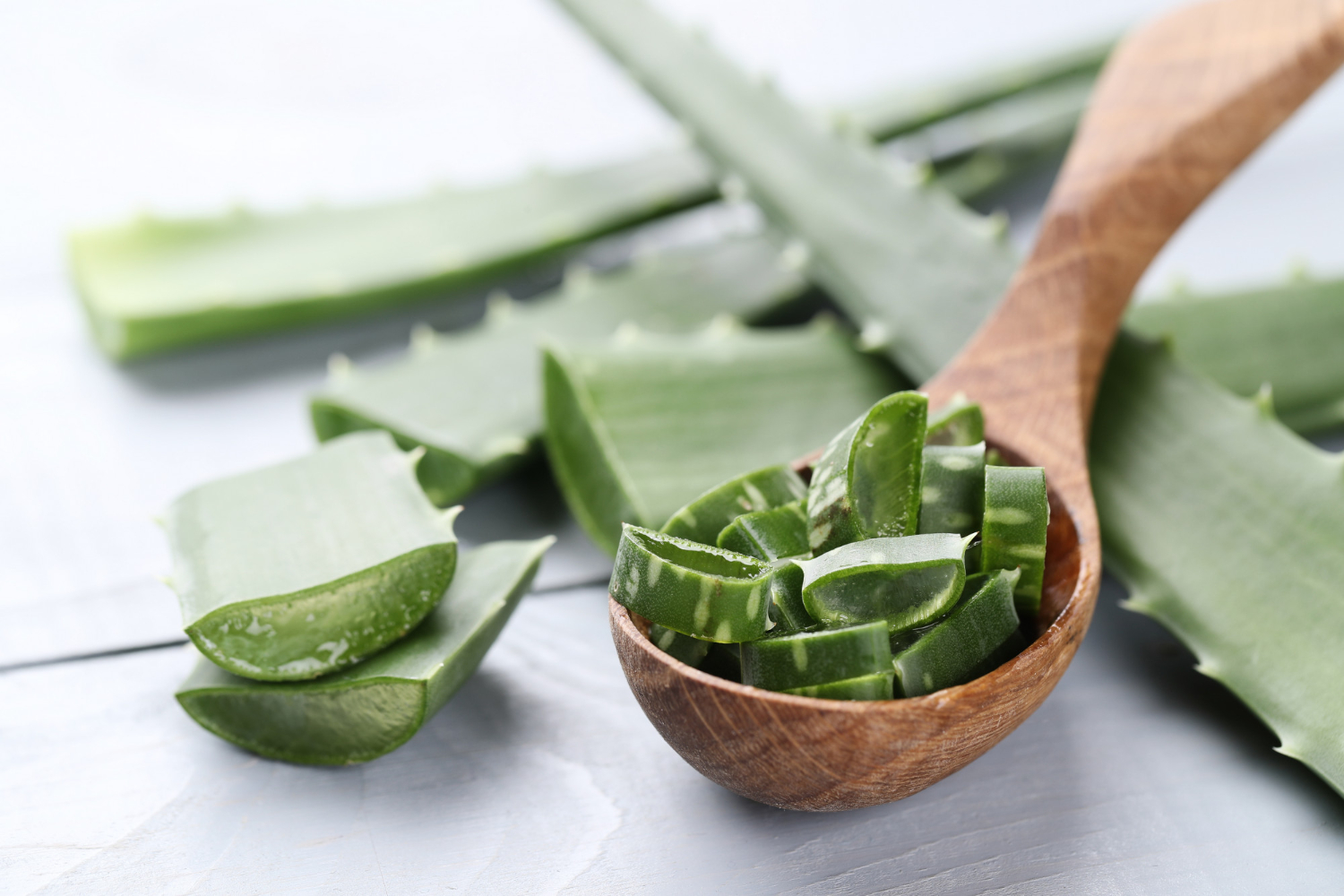 Aloe vera: Αυτός είναι ο πολύτιμος σύμμαχος που θα σε βοηθήσει να απαλλαγείς από το φούσκωμα