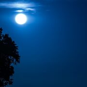 Super Blue Moon 2023: Τι πρέπει να γνωρίζεις γι' αυτό το σπάνιο φαινόμενο που υπόσχεται μεγάλα νέα