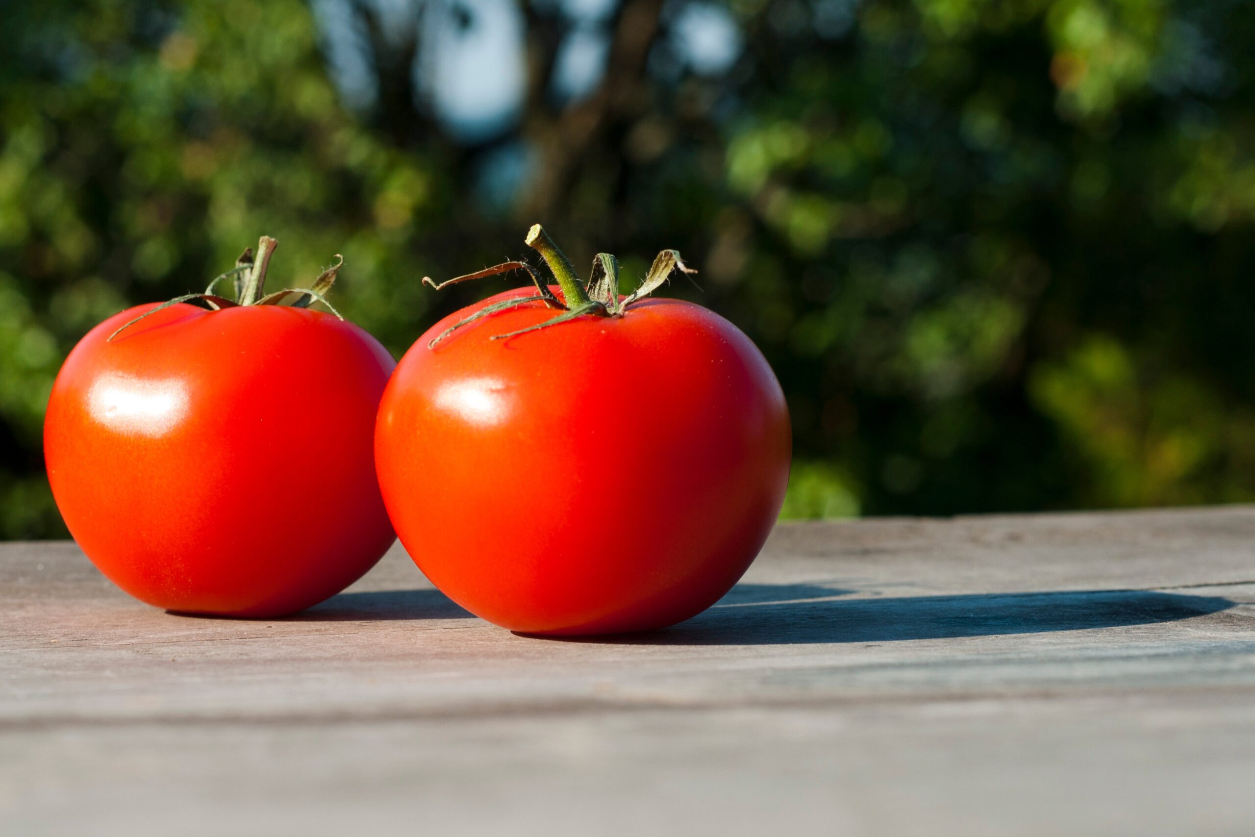 Είναι ασφαλές να φας μια ντομάτα που έχει ρωγμές; Δες τι λένε οι ειδικοί