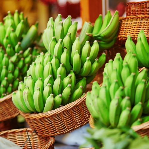 Οι πράσινες μπανάνες μπορούν να προλάβουν και να μειώσουν τον καρκίνο κατά περισσότερο από 60%