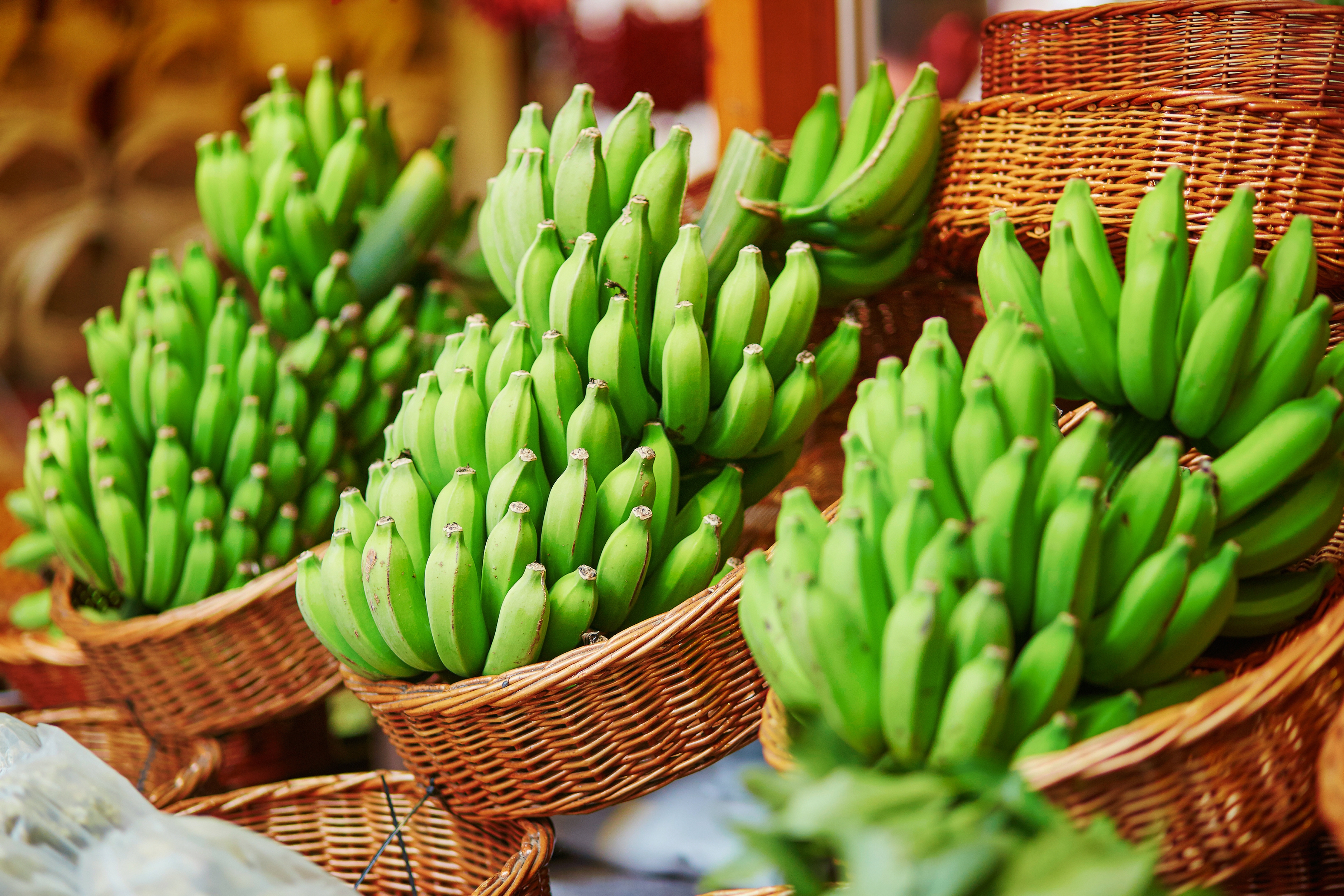 Οι πράσινες μπανάνες μπορούν να προλάβουν και να μειώσουν τον καρκίνο κατά περισσότερο από 60%