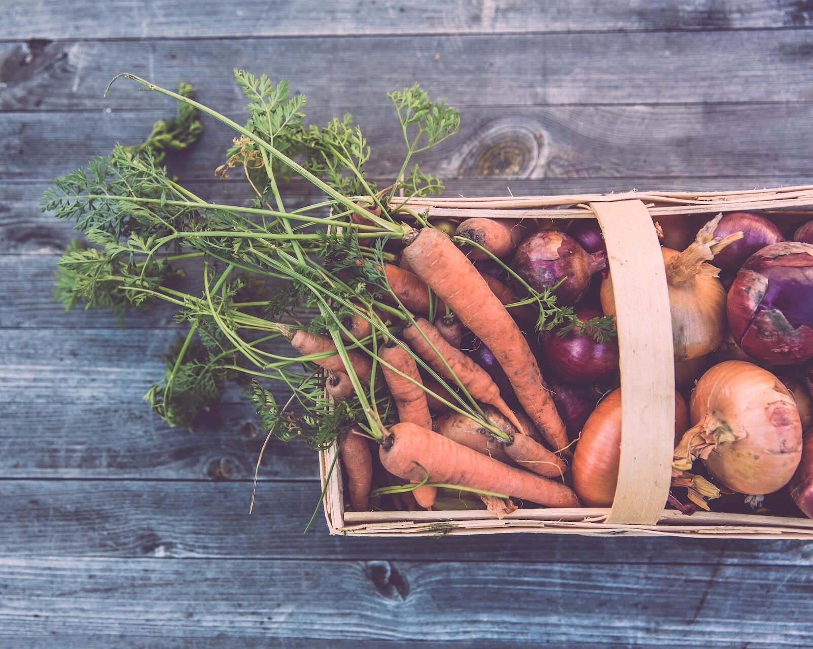 Αυτός είναι ο λόγος που πρέπει να φυτεύεις κρεμμύδια δίπλα στα καρότα στον κήπο σου