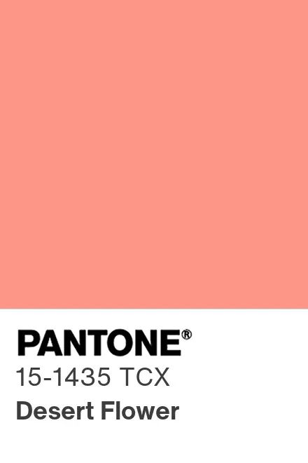 Η έκθεση Pantone Color Trend για το NYFW Άνοιξη 2024
