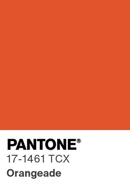 Η έκθεση Pantone Color Trend για το NYFW Άνοιξη 2024