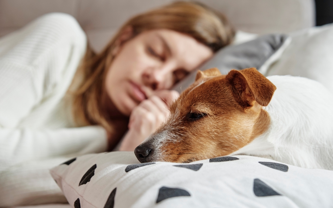 Κοιμάσαι με τη γάτα ή τον σκύλο σου; Η επιστήμη απαντά αν κάνεις καλά ή όχι