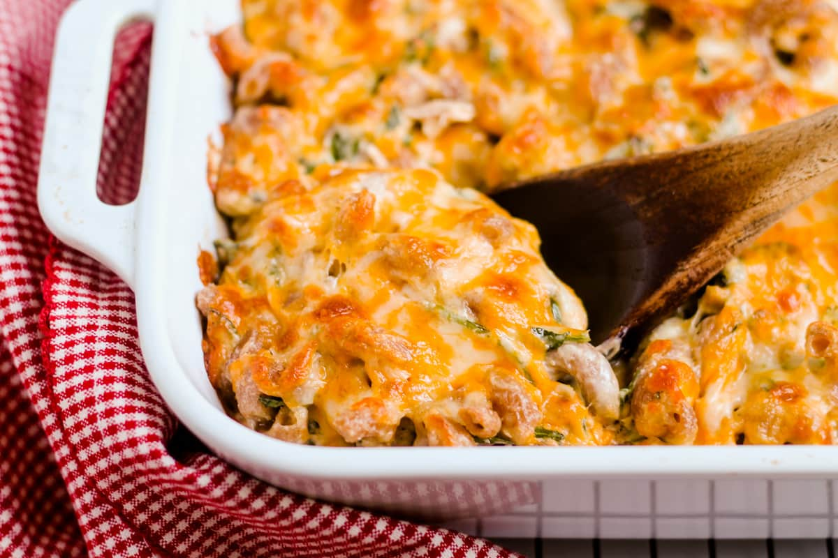 Casserole tuna: Η υγιεινή συνταγή με τόνο, κρεμώδη σάλτσα και ζυμαρικά