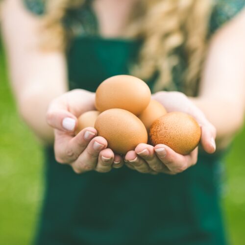 Για να αποφύγεις τον κίνδυνο καρδιακών παθήσεων μαγείρεψε με τον σωστό τρόπο τα αυγά
