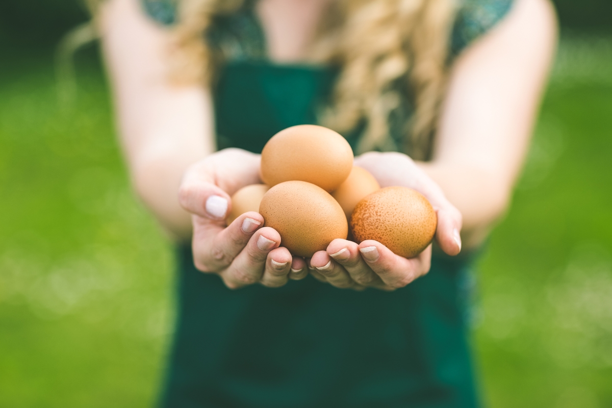 Για να αποφύγεις τον κίνδυνο καρδιακών παθήσεων μαγείρεψε με τον σωστό τρόπο τα αυγά