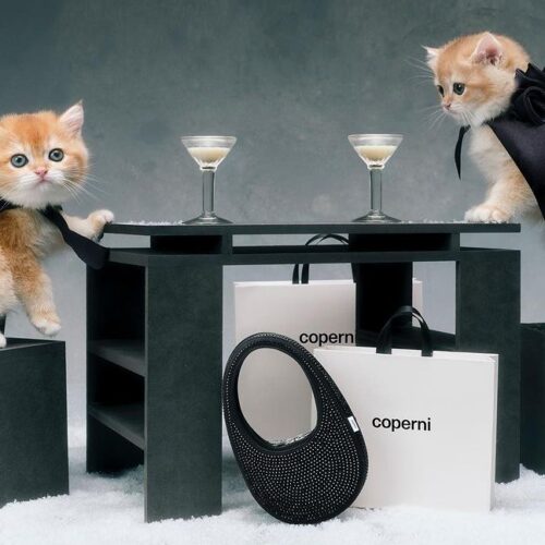 Ο Coperni δημιουργεί την πιο αξιολάτρευτη εορταστική καμπάνια με πρωταγωνίστριες γάτες