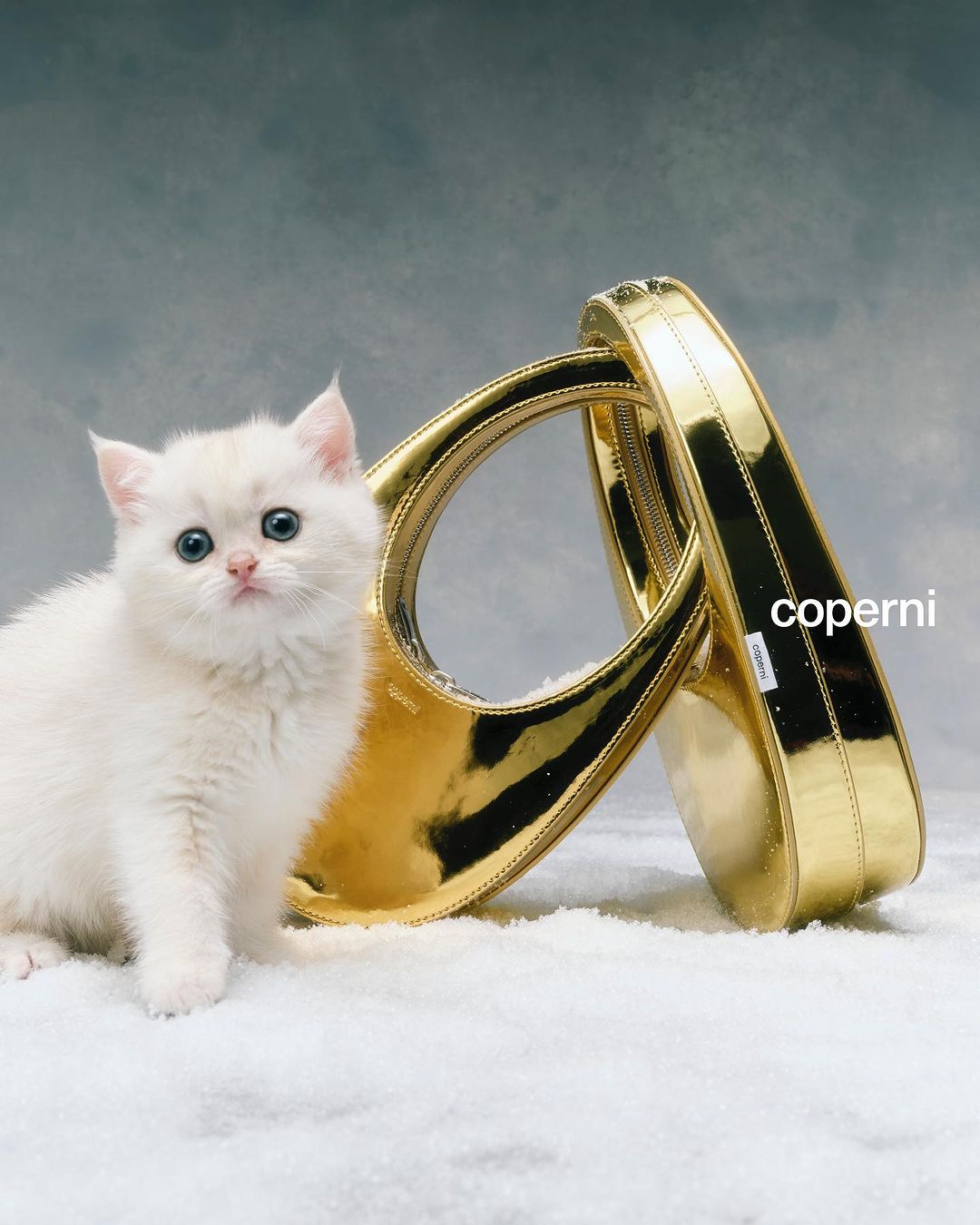 Ο Coperni δημιουργεί την πιο αξιολάτρευτη εορταστική καμπάνια με πρωταγωνίστριες γάτες