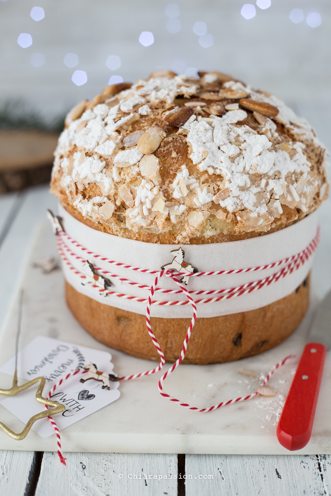 Η απόλυτη συνταγή για το ιταλικό panettone αφράτο σαν βαμβάκι 5 panettone