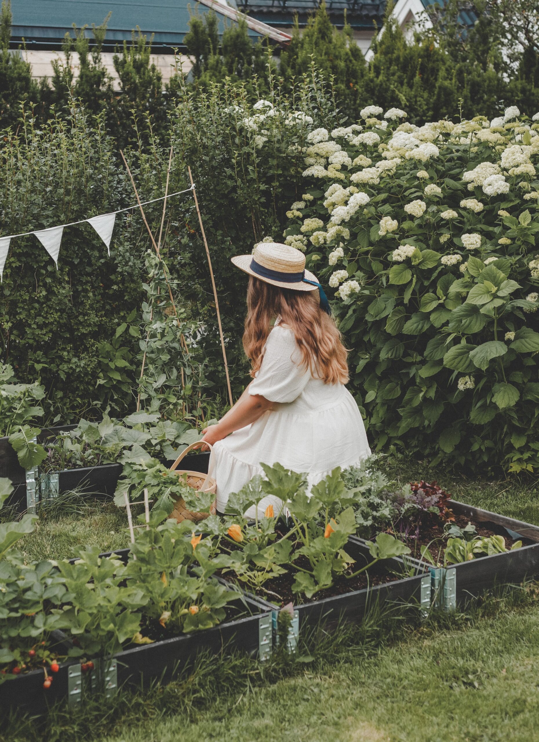 Γνώρισε το απροσδόκητο «it» λουλούδι του 2024 για να βάλεις στον κήπο σου