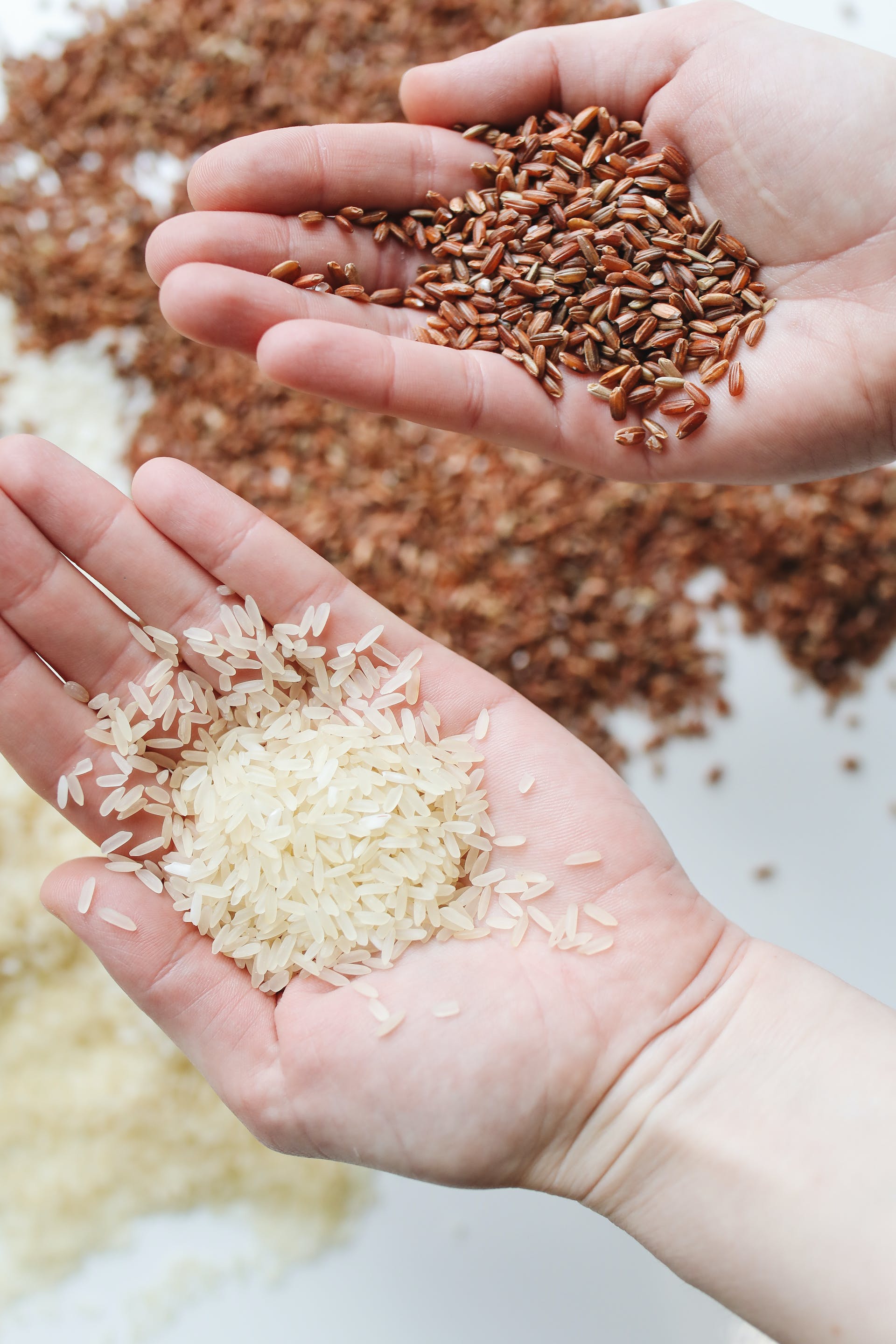 3 λόγοι που πρέπει να εντάξεις περισσότερα φασόλια και ρύζι στη διατροφή σου