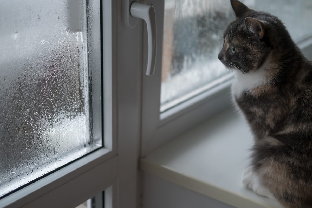 Αν τα διπλά τζάμια είναι μονίμως θολά δες πώς θα απαλλαγείς από την υγρασία με αυτό το hack