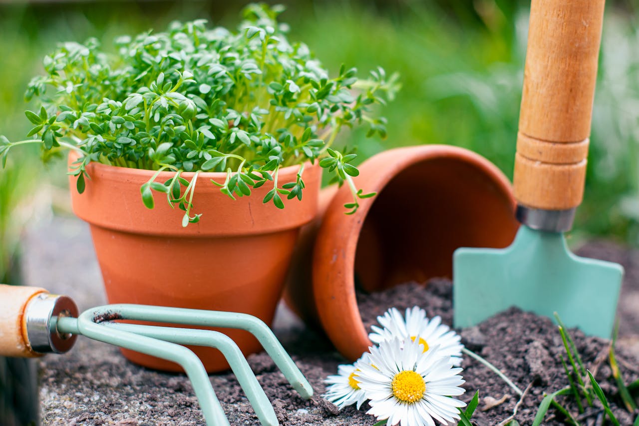 5  ανοιξιάτικες προετοιμασίες κηπουρικής που μπορείς να ξεκινήσεις αυτή την εποχή