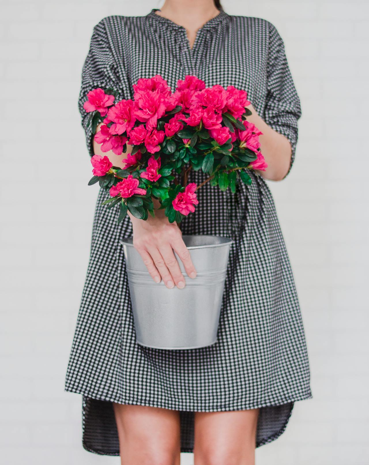 5  ανοιξιάτικες προετοιμασίες κηπουρικής που μπορείς να ξεκινήσεις αυτή την εποχή