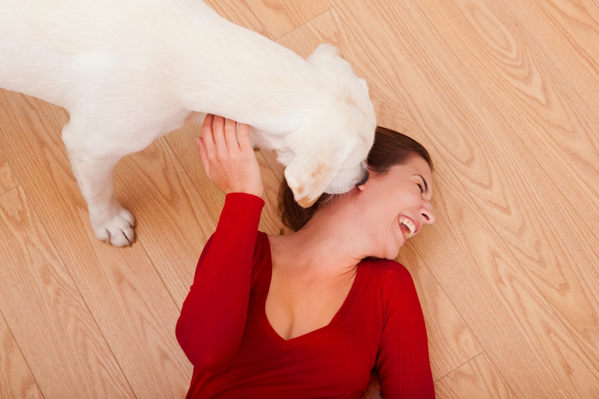 Την επόμενη φορά που ο σκύλος σου σε γλύφει στο πρόσωπο να ξέρεις πως φταίνε οι ενδορφίνες