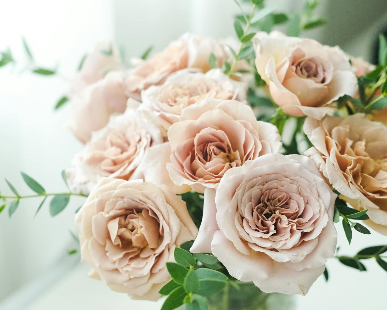 Θες να πολλαπλασιάσεις τα τριαντάφυλλα σου; Υπάρχει ένα εύκολος τρόπος για να το πετύχεις