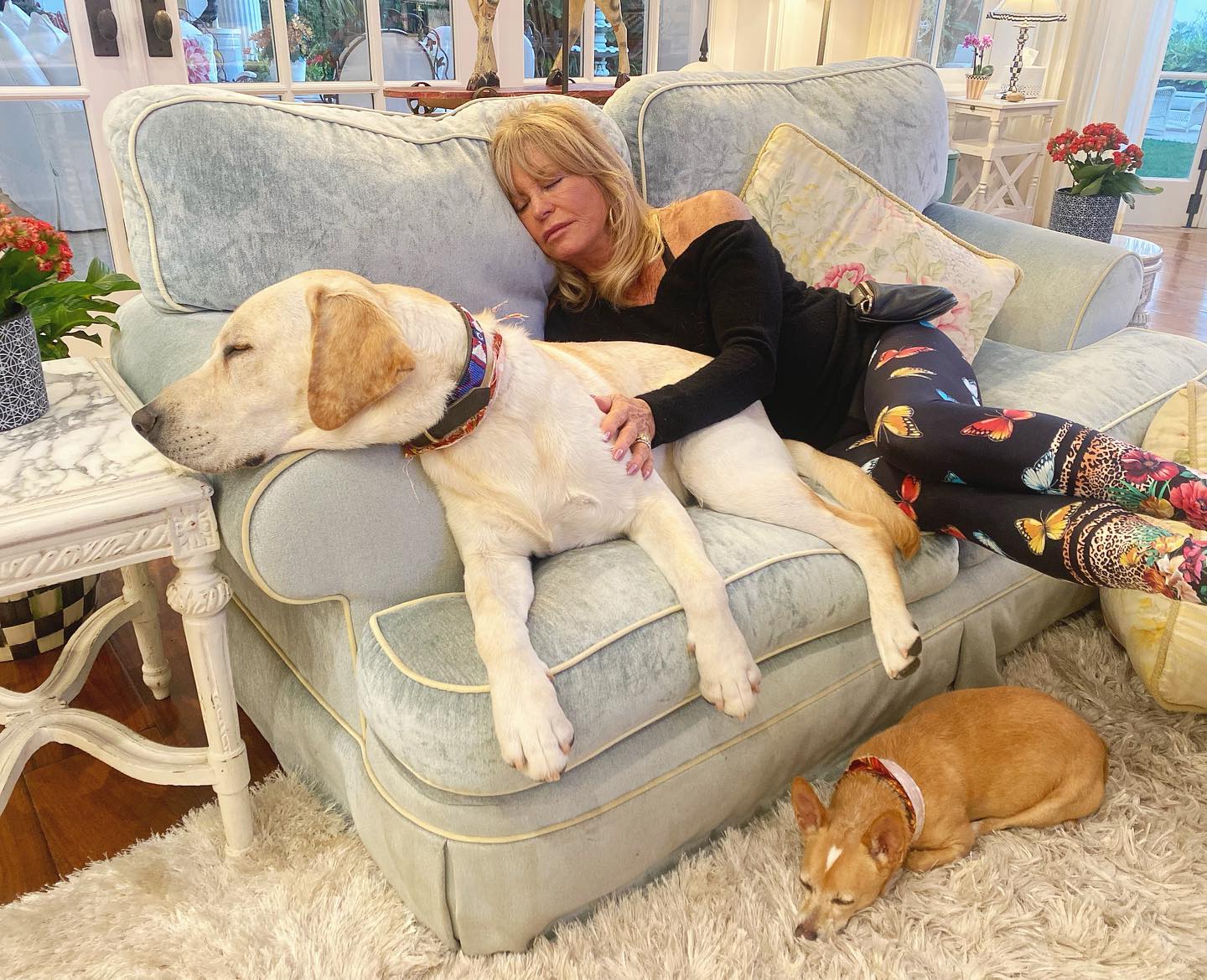 Η ήρεμη απόχρωση του καναπέ της Goldie Hawn αποτελεί μια από τις δυνατές χρωματικές τάσεις του 2024