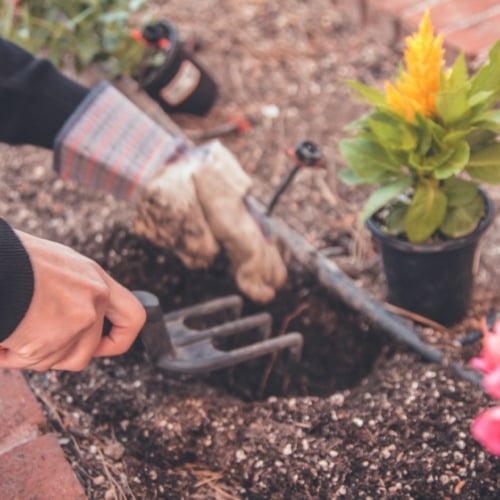 4 γνωστά «tips» κηπουρικής που καλό είναι να τα αποφύγεις αν θες να έχεις υγιή φυτά