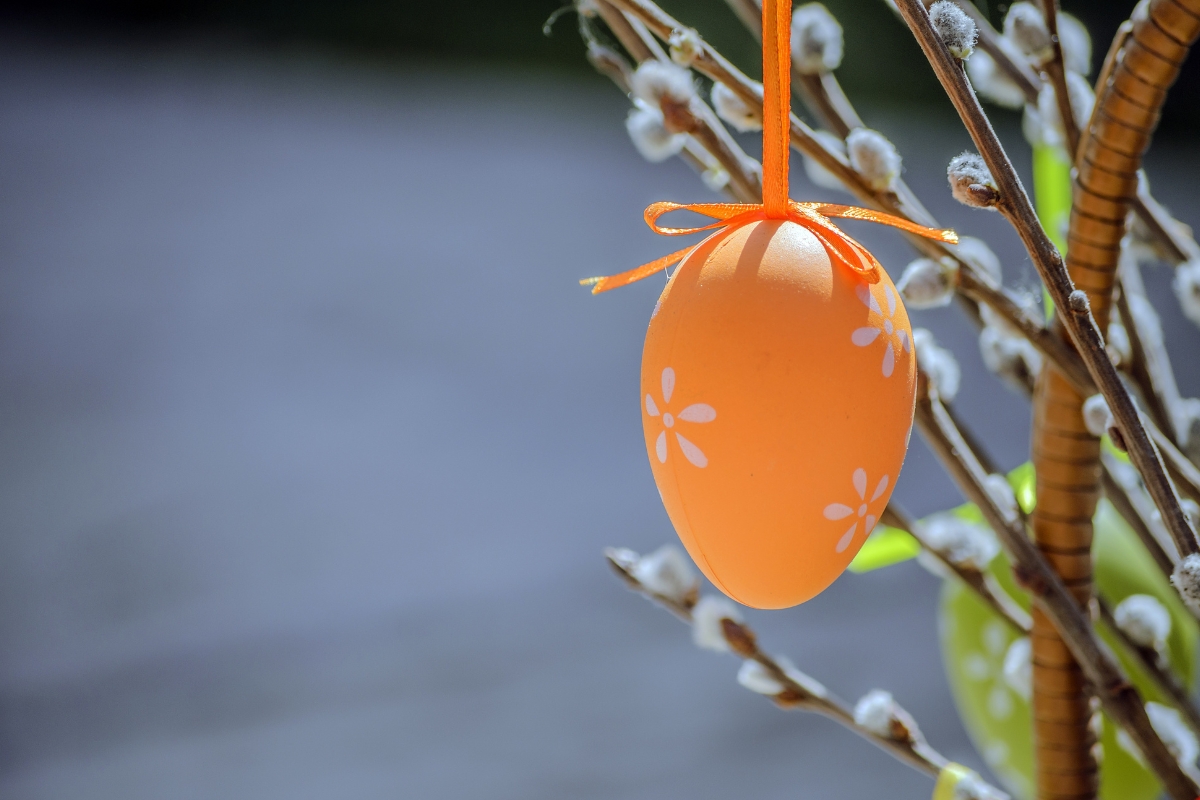 Βάψε τα αυγά σου σε pastel χρώματα με φυσικά υλικά και δώσε μια γλυκειά νότα στο Πάσχα
