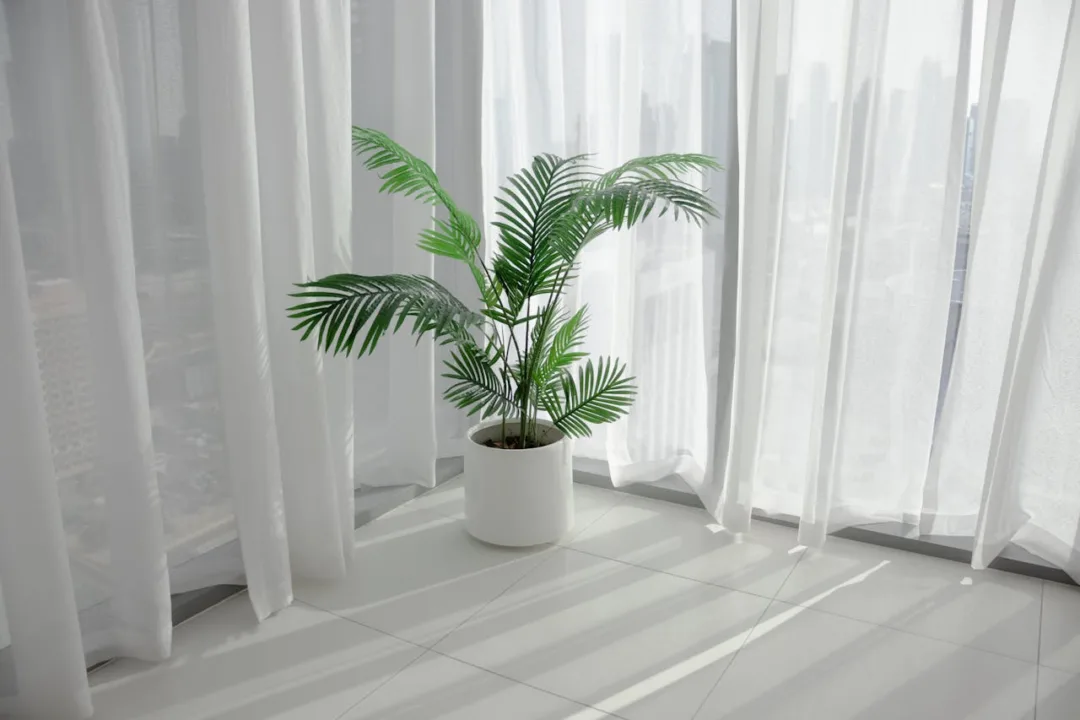 Αν δυσκολεύεσαι να κοιμηθείς βάλε στο υπνοδωμάτιο σου αυτά τα 3 φυτά